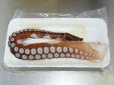 画像1: 活〆真タコ(お刺身用)　足　3L　451g〜490g (1)
